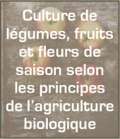Fruits et légumes bio Seclin